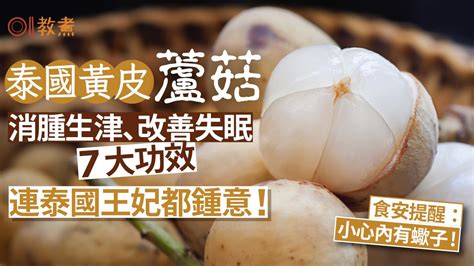 蘆茹|蘆茹